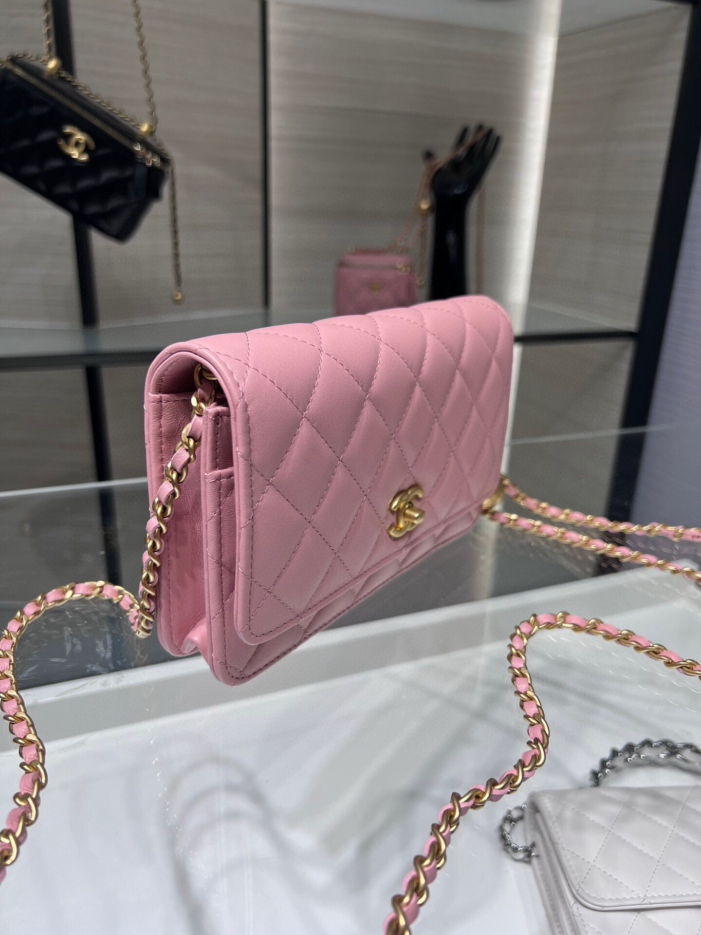 CL WOC - 19CM [AP1450Y-4] CELINE CHANEL ACCESSORIES LOEWE SHOES LOUIS VUITTON DIRO YSL OTHER BRAND HANDBAGS BALENCIAGA BOTTEGA VENETA GOYARD HERMES BURBERRY VALENTINO GUCCI FENDI MIUMIU CHLOE PRADA BVLGARI SUITCASE NEW ARRIVAL 