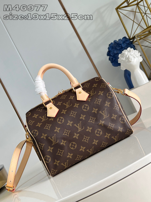 (image for) Louis Vuitton Speedy Bandoulière 25