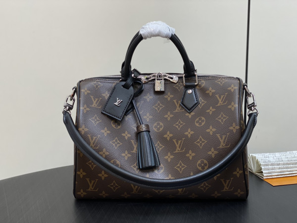 (image for) Louis Vuitton Speedy Soft 30 Dark