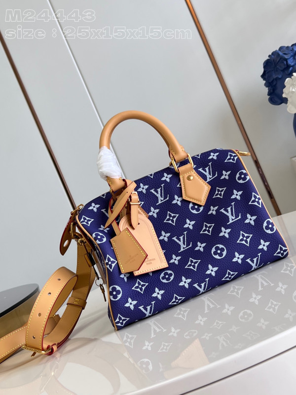 (image for) Louis Vuitton SPEEDY 25