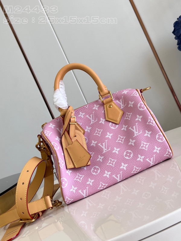 (image for) Louis Vuitton SPEEDY 25