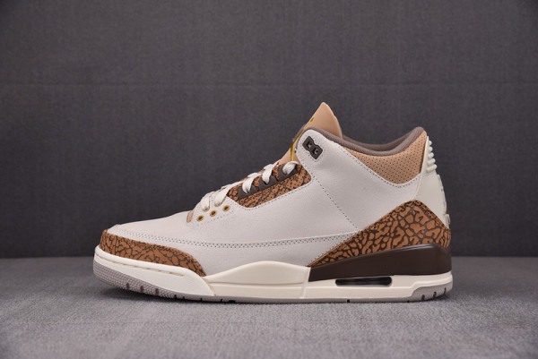 (image for) AIR JORDAN 3 PALOMINO CT8532-102