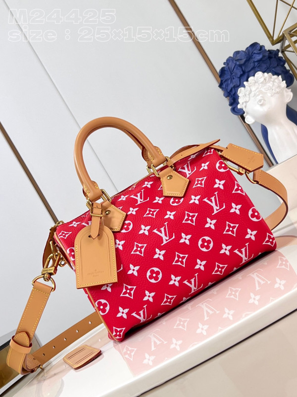 (image for) Louis Vuitton SPEEDY 25