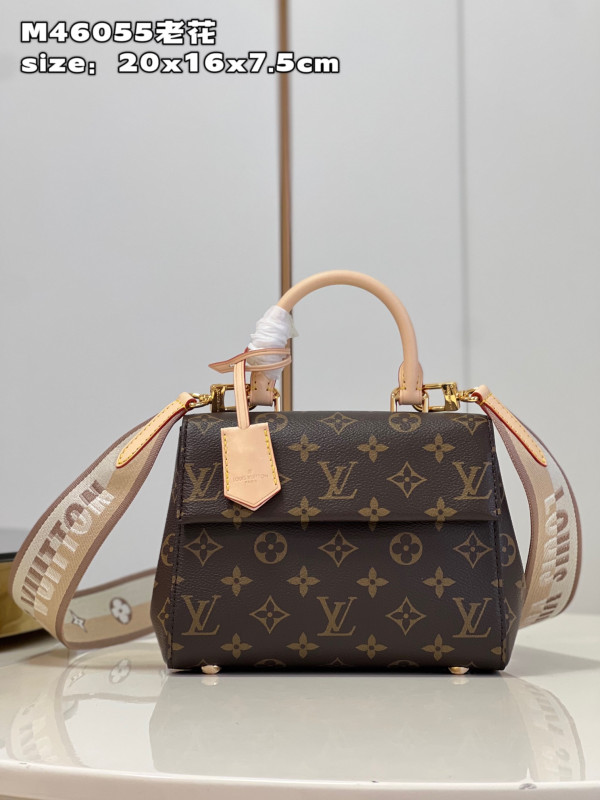 (image for) LOUIS VUITTON CLUNY BB