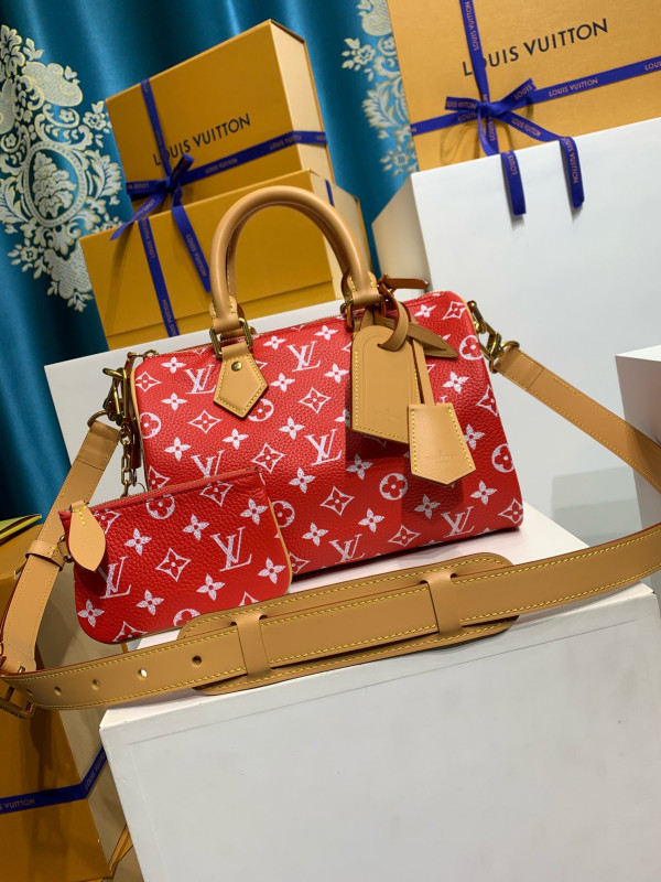(image for) Louis Vuitton SPEEDY 25