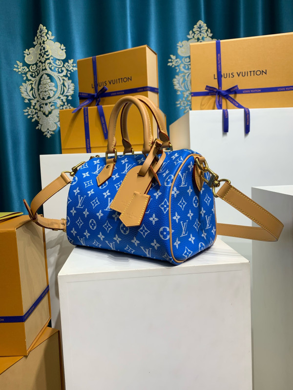 (image for) Louis Vuitton SPEEDY 25