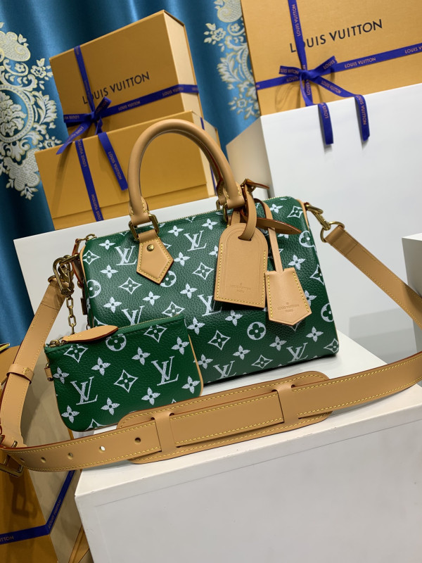 (image for) Louis Vuitton SPEEDY 25