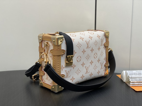 (image for) LOUIS VUITTON SIDE TRUNK MM