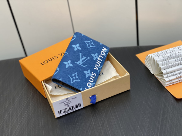 (image for) Louis Vuitton Pocket Organizer