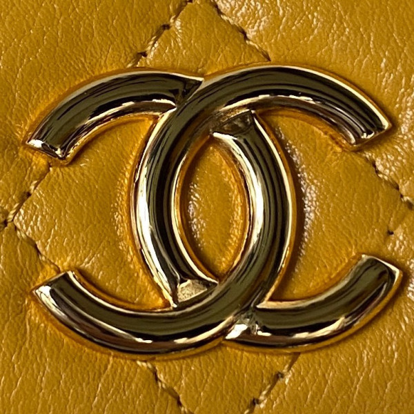 CL CLUTCH WITH CHAIN (image for) CL CLUTCH WITH CHAIN