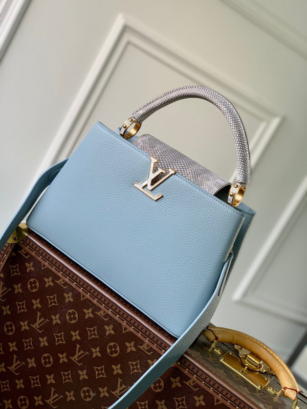 (image for) LOUIS VUITTON CAPUCINES MM