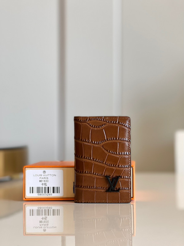 (image for) LOUIS VUITTON POCKET ORGANIZER