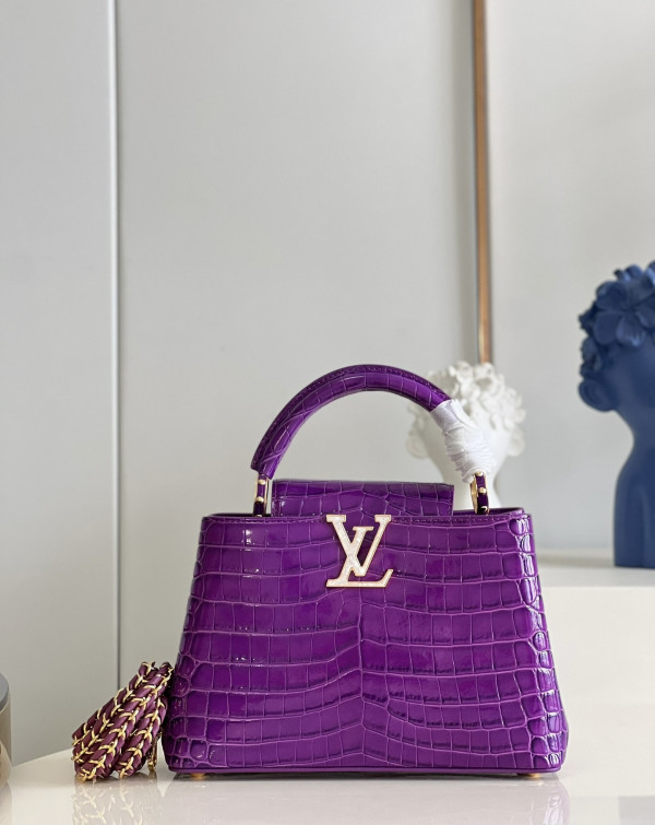 LOUIS VUITTON CAPUCINES BB (image for) LOUIS VUITTON CAPUCINES BB