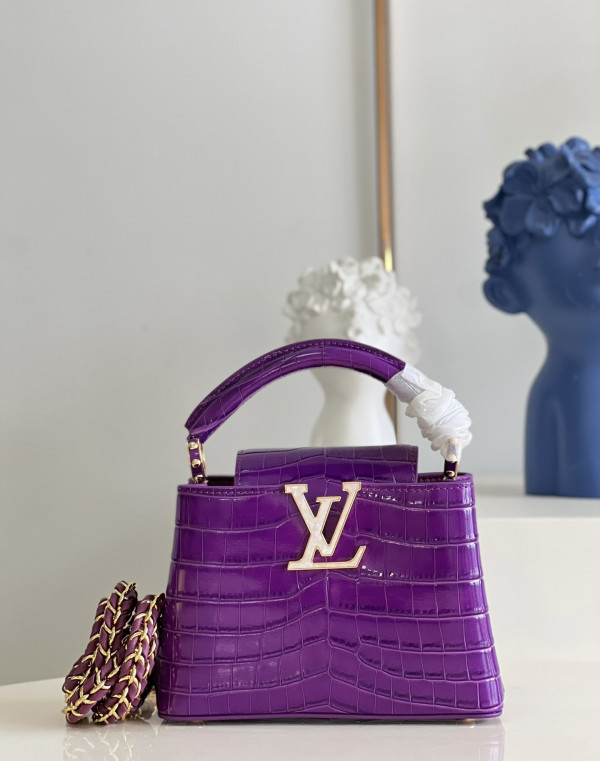 (image for) LOUIS VUITTON CAPUCINES MINI