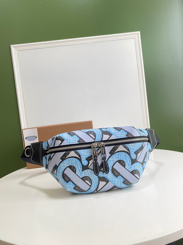 BURBERRY Bum Bag (image for) BURBERRY Bum Bag