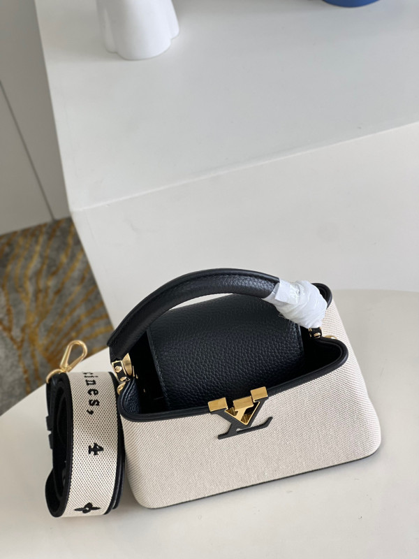 (image for) LOUIS VUITTON CAPUCINES MINI