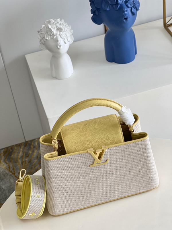(image for) LOUIS VUITTON CAPUCINES MM