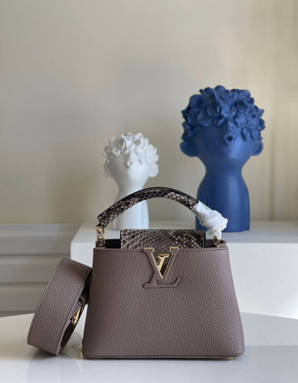(image for) LOUIS VUITTON CAPUCINES MINI
