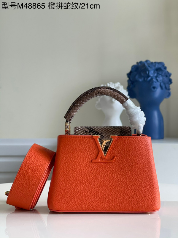 (image for) LOUIS VUITTON CAPUCINES MINI