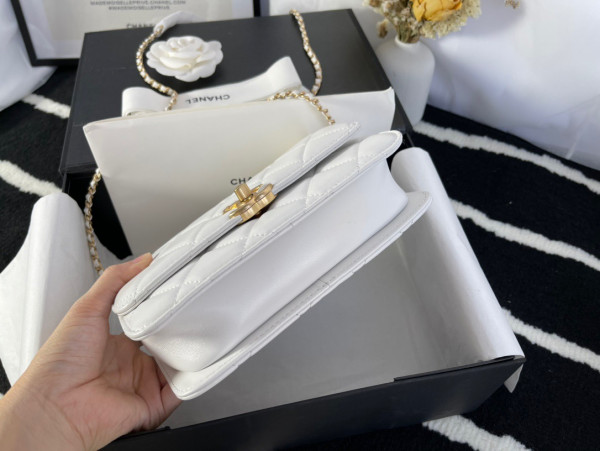 (image for) CL MINI FLAP BAG