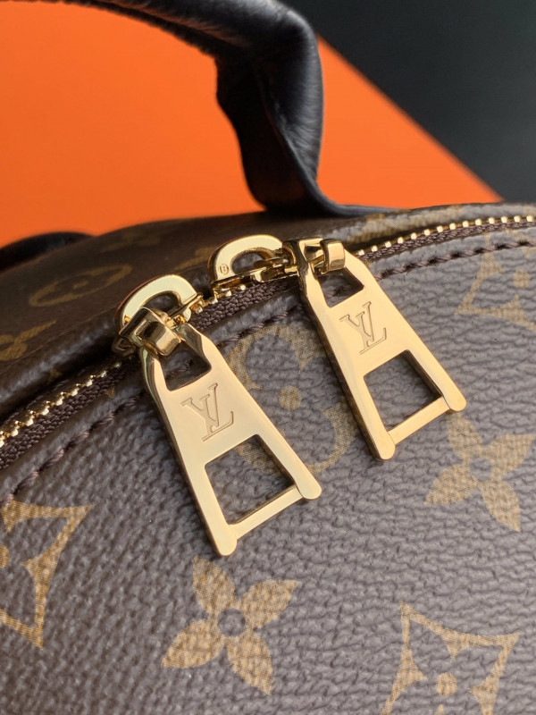 (image for) LOUIS VUITTON PALM SPRINGS MM NEW EDITION