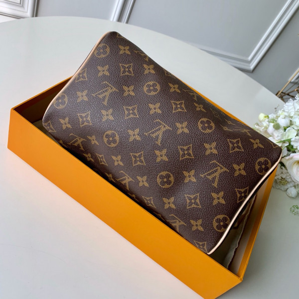(image for) Louis Vuitton SPEEDY 25